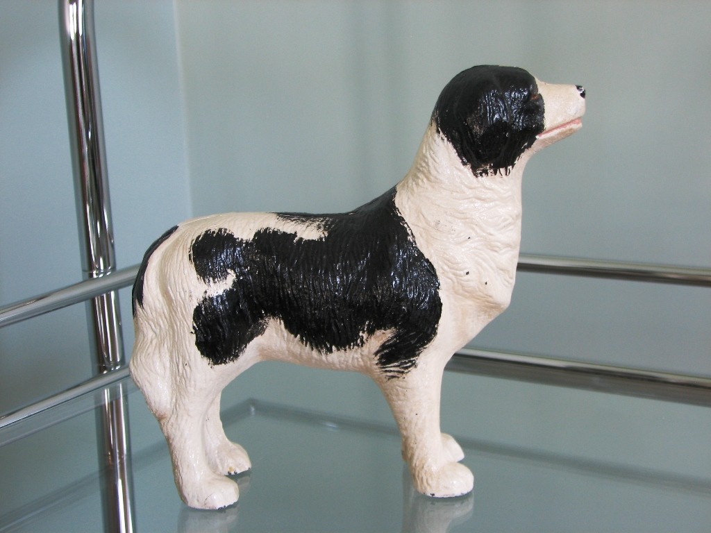 dog8