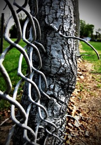 transitions