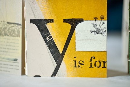 rough draft books y is for
