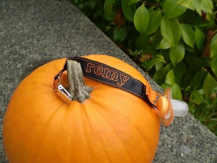 Happy Halloween bink clip by Schnitzel and Boo