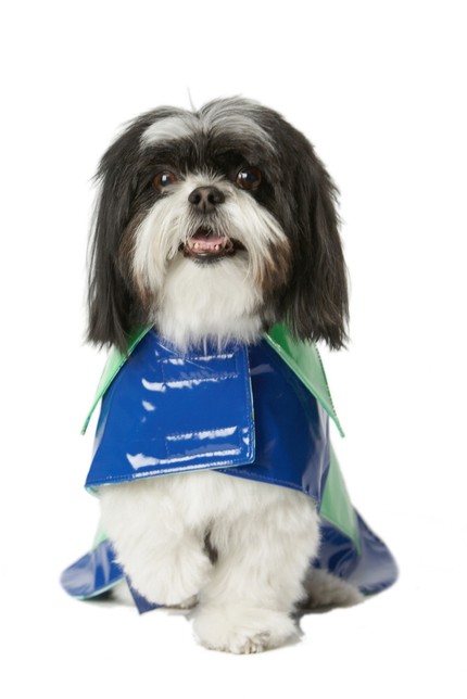 doggy rain coat blue