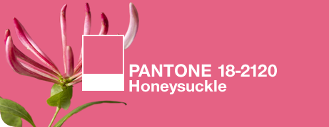 pantone 18-2120