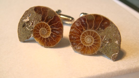 fossil cufflinks