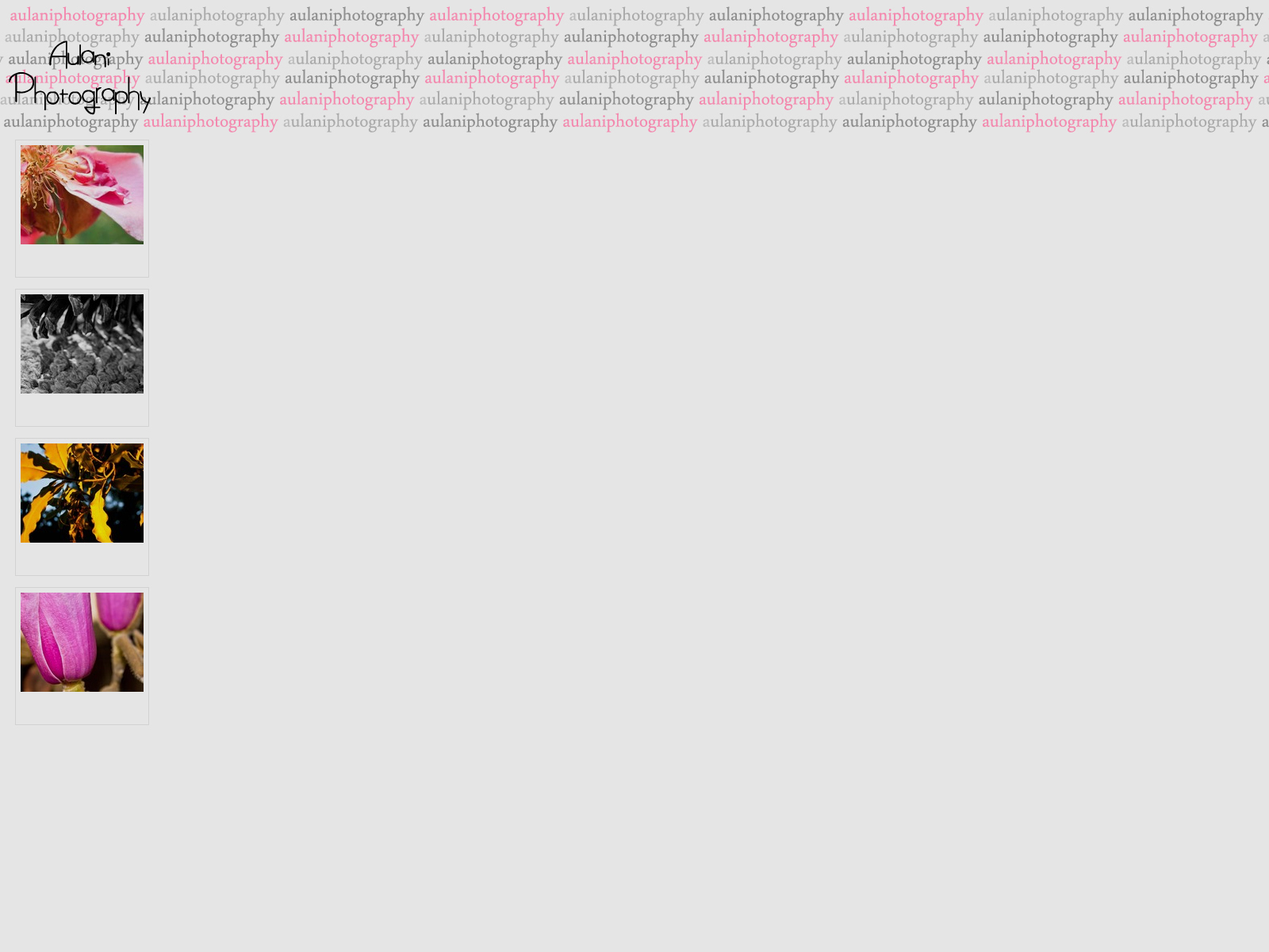 twitter background
